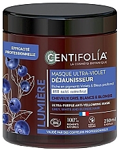Ultraviolet Mask for Grey & Blonde Hair Ultraviolet Mask for Grey & Blonde Hair