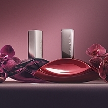Calvin Klein Euphoria Eau de Parfum