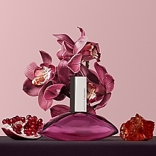 Calvin Klein Euphoria Eau de Parfum